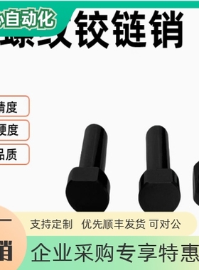 带肩铰链销内螺纹HCLBM SHCLBM6 8 10 12 15 16 20 内螺纹台阶销