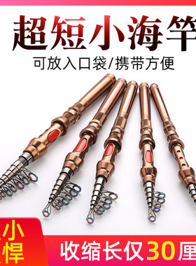 迷你海杆路亚钢笔远投小矶竿