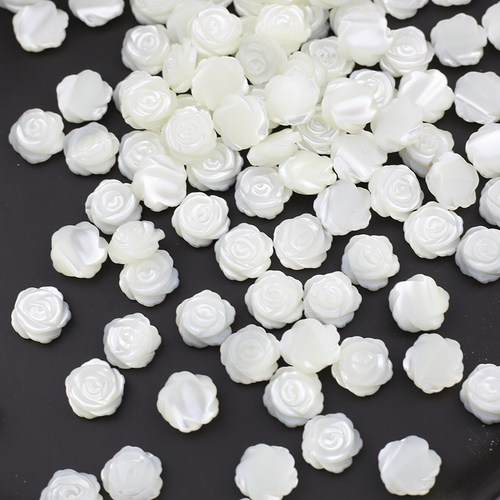 横孔马蹄螺贝壳立体玫瑰花花朵