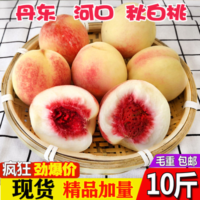丹东河口秋白桃黑沟大毛桃离核银白桃新鲜桃子酸甜5斤脆口10包邮