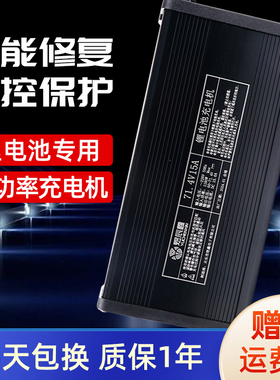 锂电充电器三元铁锂48V60V72V12A15A18A大功率自动断电智能充原装