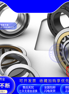 SKF高速圆柱滚子轴承NJ2228 2230 2232 2234 2236 ECM ECJ ECP C3