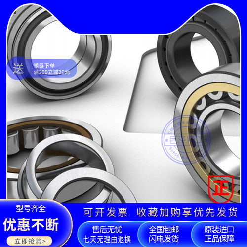 SKF高速圆柱滚子轴承RN 204 205 206 207 208 209 EM ECM