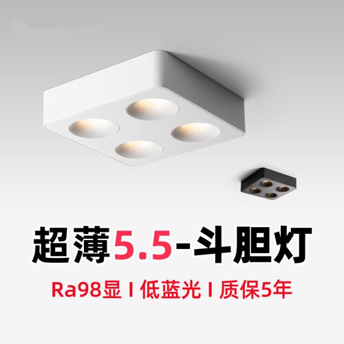 超薄明装led射灯无主灯斗胆灯