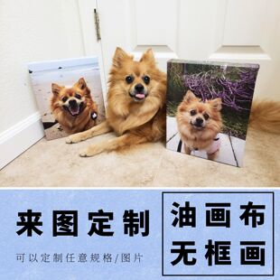肌理画定制装饰挂画来图定做版画宠物照片印刷海报浮雕3D油画打印