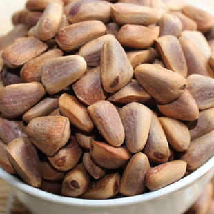 生松子未加工东北松子非开口红松籽大颗粒黑龙江伊春特产500g
