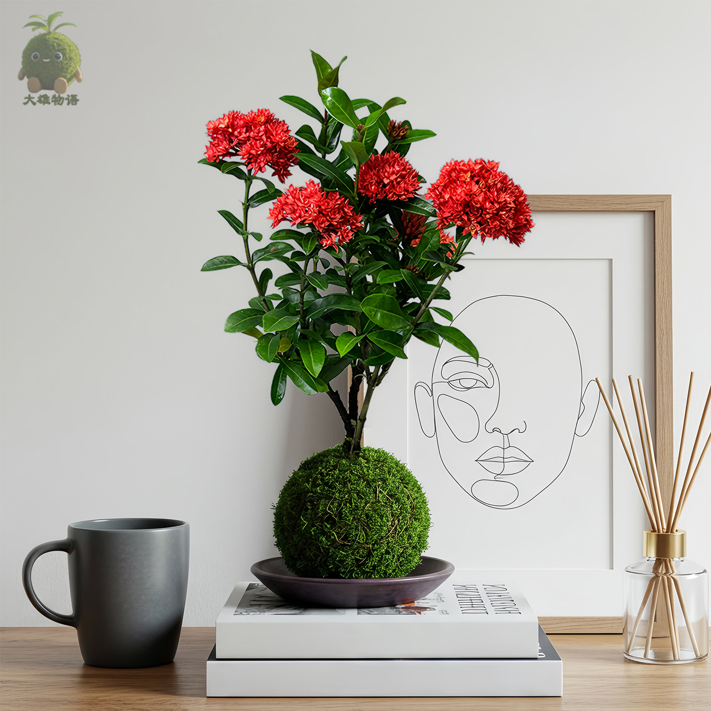 龙船花苔藓球开花绿植好养室内阳台办公桌四季常青苔玉带花苞植物,鲜花速递/花卉仿真/绿植园艺,绿植,淘宝优惠券,粉丝福利购,淘宝优惠卷