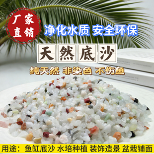 【亏本冲量】水晶沙彩沙五彩石天然彩色沙多肉铺面石鱼缸造景底沙