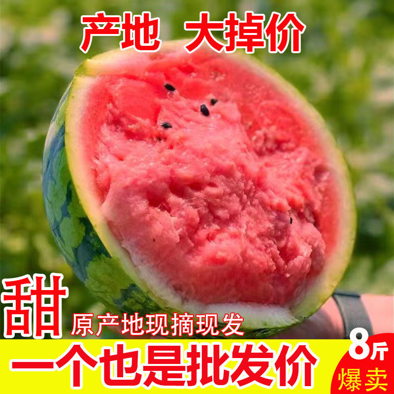 正宗冰糖麒麟西瓜西瓜新鲜