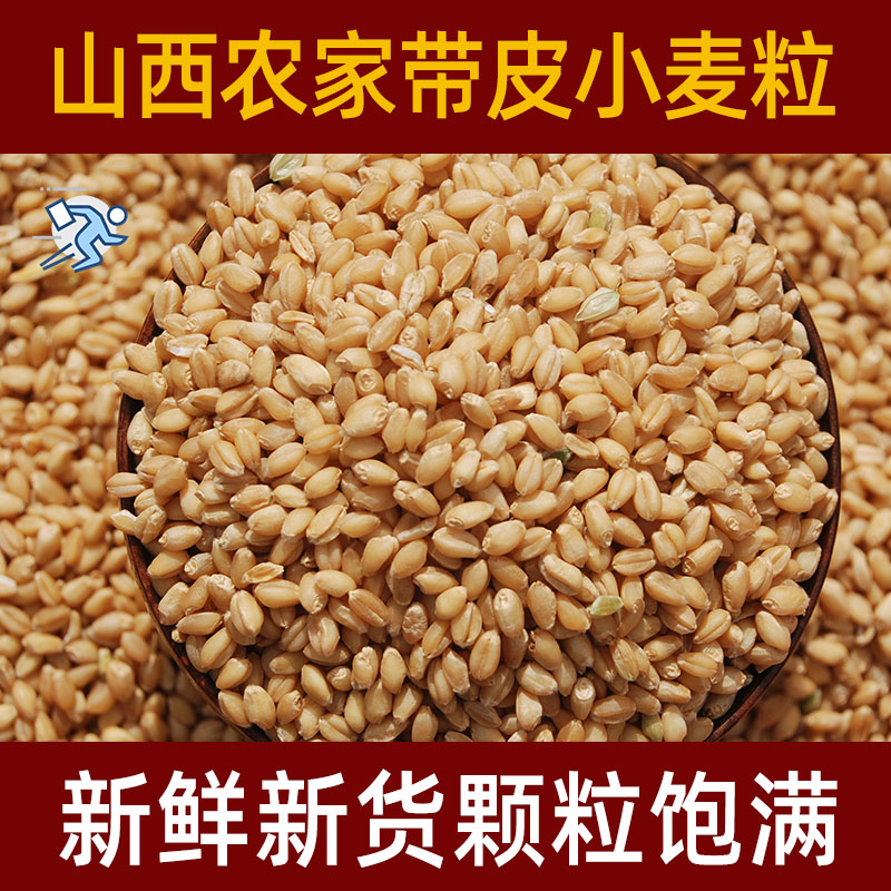 农家优质带皮小麦粒大颗粒5斤包邮钓鱼鱼铒料可发芽榨汁做麦芽糖