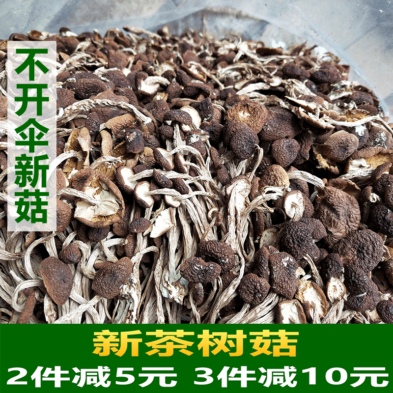 25年新农家自产天然野生茶树菇不开伞干货250g包邮