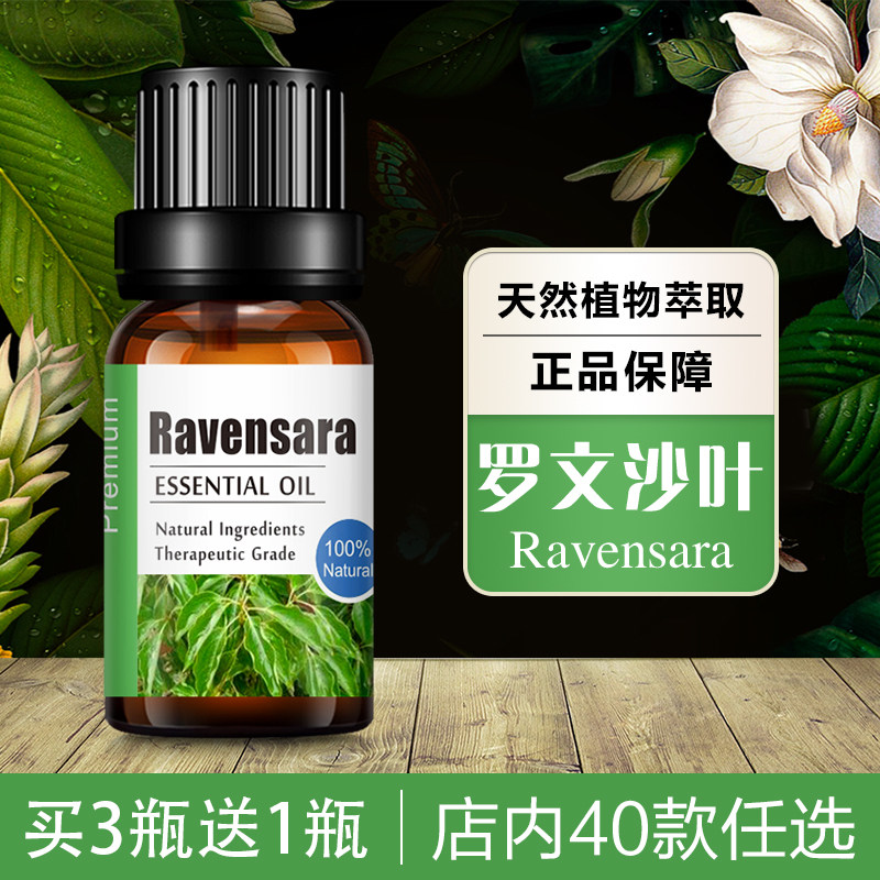 桉油樟罗文莎叶精油植物香薰面部按摩护肤健康防护抗压解劳杀菌