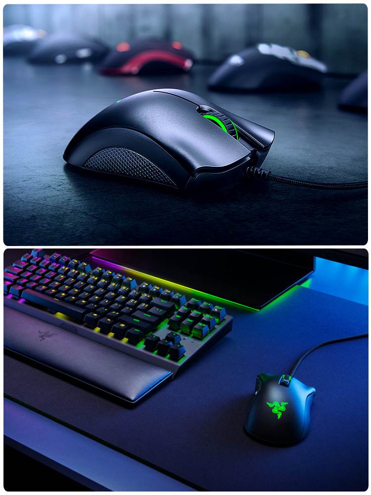 Razer雷蛇炼狱蝰蛇标准版鼠标有线游戏专用电竞键盘套装宏压枪