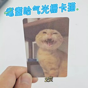 耄耋闪卡耄耋猫猫变换3D光栅卡幻影哈吉马圆头西部菱斑响尾蛇小卡