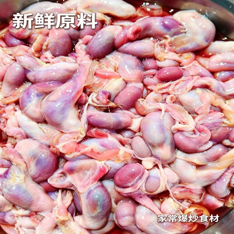 小猪蛋猪睾丸小猪宝小公猪卵子