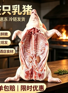 现杀整只酒店品质新鲜乳猪-18度