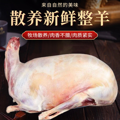 内蒙特产新鲜全羊羊白条