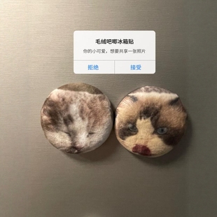 饰 毛绒吧唧冰箱贴定制猫咪照片谷子可rua柔软宠物徽章留念胸针装
