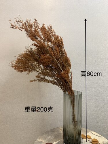 千叶金把束千叶草千