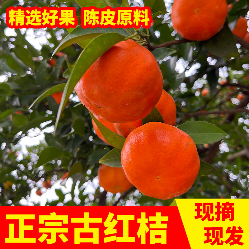 正宗重庆万州古红桔大红袍柑红橘川红桔应季新鲜水果陈皮原料5斤,水产肉类/新鲜蔬果/熟食,桔子,淘宝优惠券,粉丝福利购,淘宝优惠卷