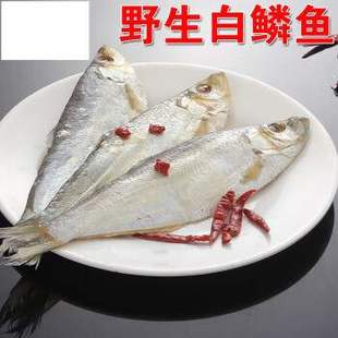 味巴哥(WEIBAGE)山东日照特产白鳞鱼白鳓鱼咸鱼干咸曹白鱼快鱼