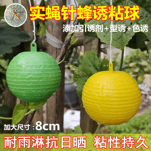 实蝇诱捕球柑橘大实蝇粘虫球 针蜂果蝇桔小实蝇引诱球果园诱捕器