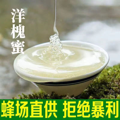 2026年洋槐蜂蜜成熟洋槐蜂蜜农家自产自销蜂场直发洋槐蜂蜜