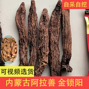 阿拉善金锁阳整根      正品泡茶泡酒