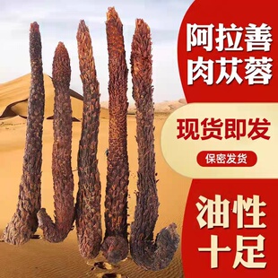 肉苁蓉5根一斤（500克）秋冬季采挖   泡酒料内蒙古正品油苁蓉