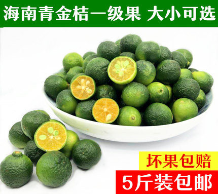 海南青金桔一级果正宗新鲜海南小金桔 青金桔小柠檬橘子5斤包邮