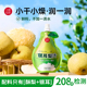 鲜榨不加一滴水 秋梨膏泡水 银耳梨汁饮料小碗良食 儿童小吊梨汤
