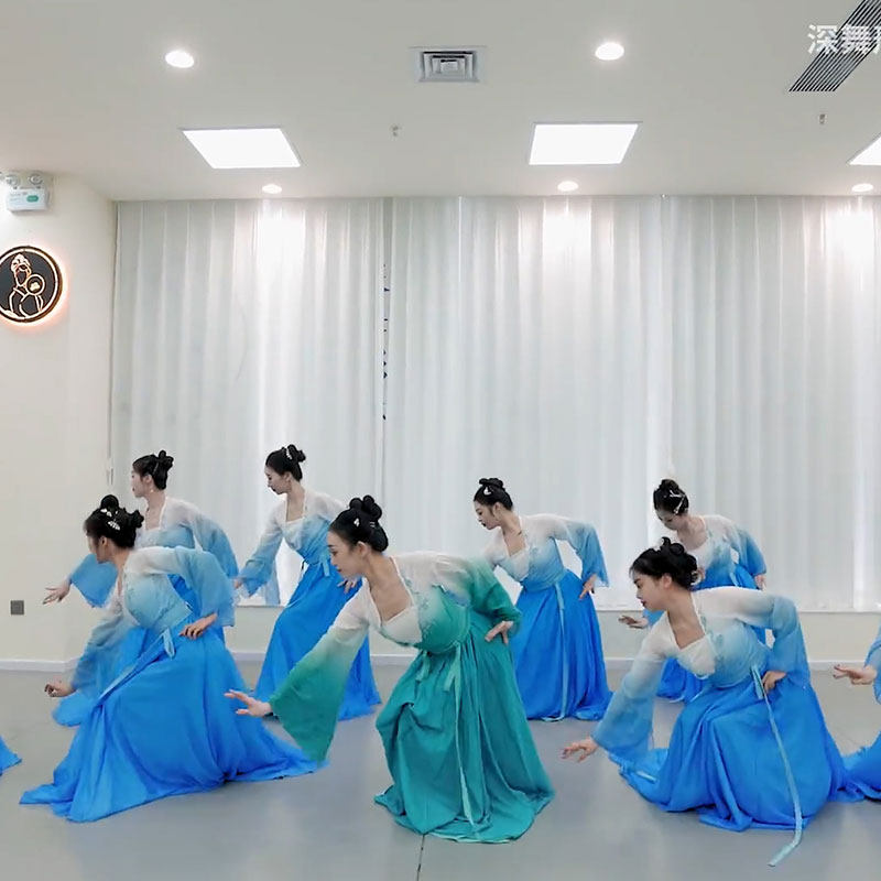 青山远黛舞蹈服女飘逸中国舞艺考群舞表演出服元旦新款古典舞服装