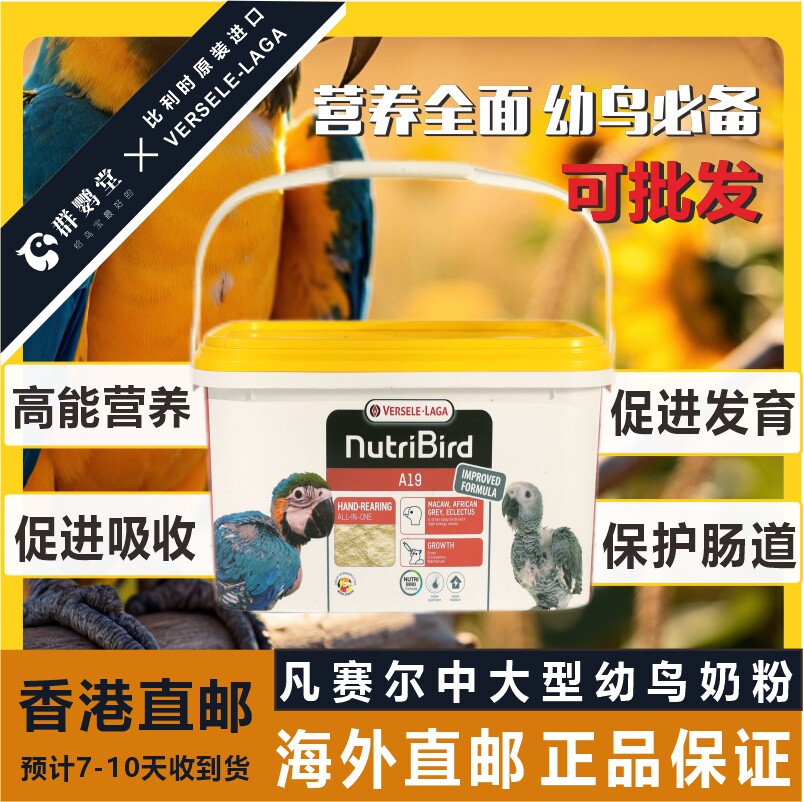 正品进口凡赛尔手养鹦鹉奶粉金刚灰机葵花中大型A19