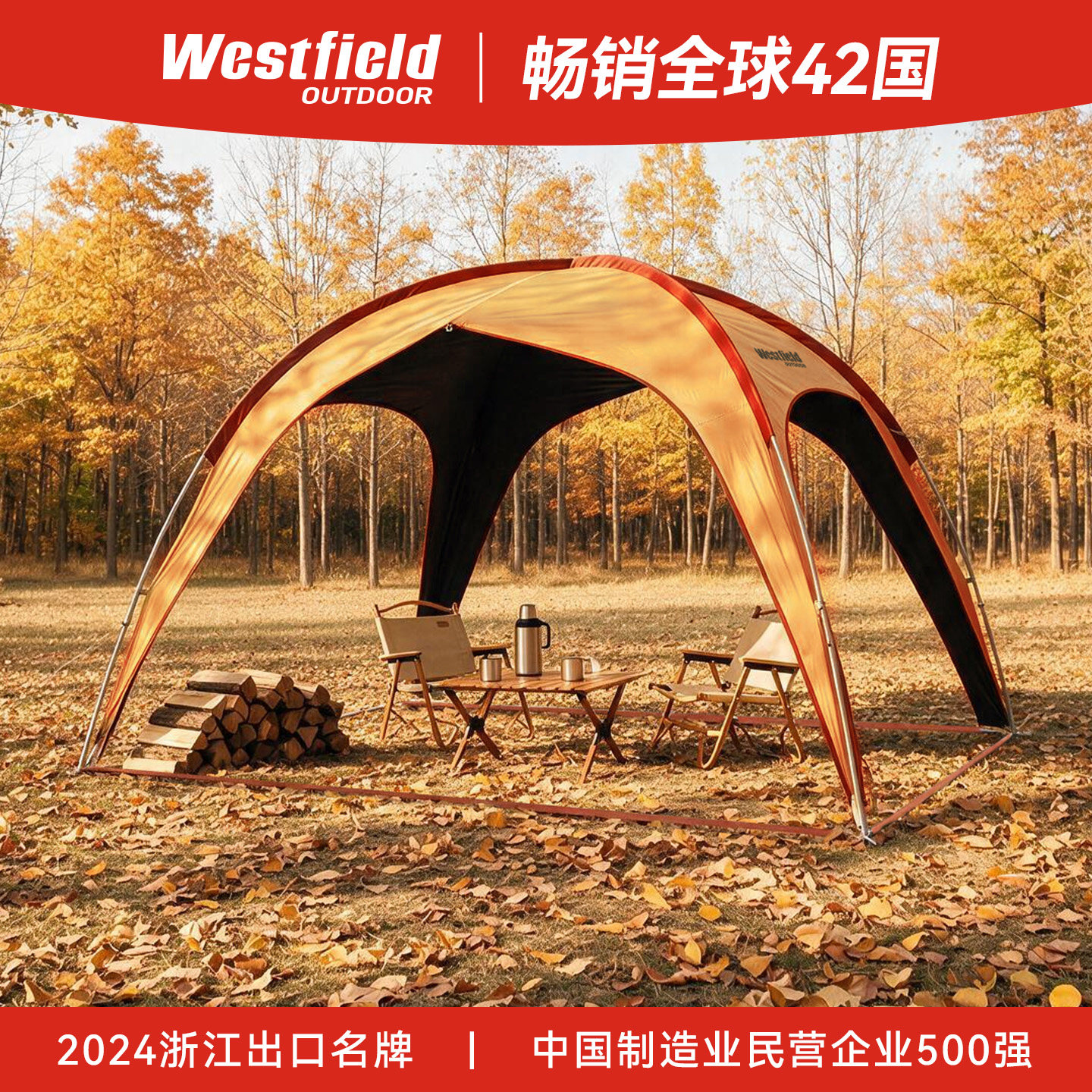 我飞穹顶天幕黑胶铝杆