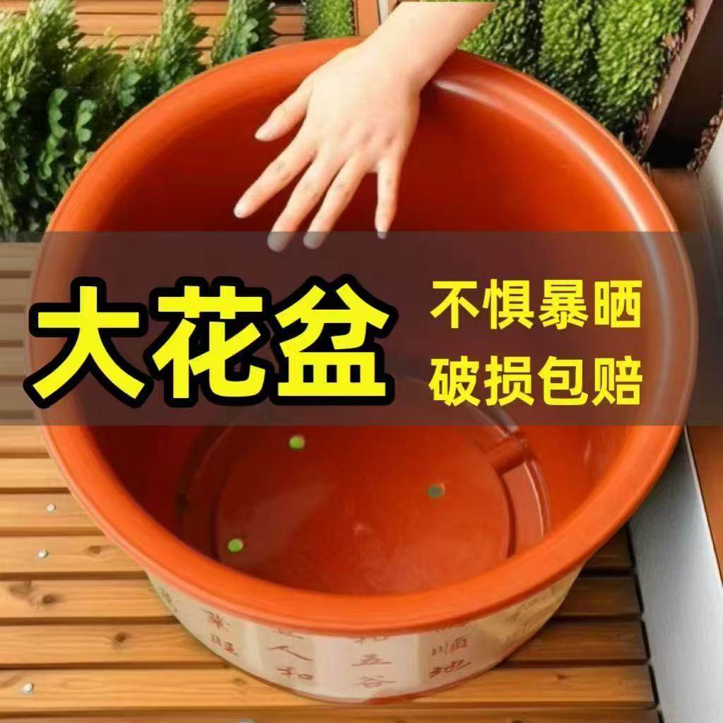花盆清仓捡漏大号多肉大口径养花专用特大号大口径小兰花塑料树脂图片