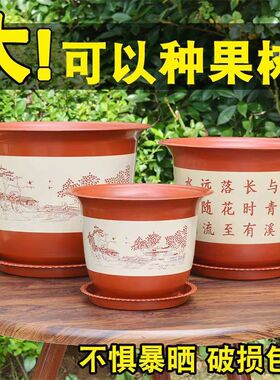 花盆清仓捡漏大号多肉大口径养花专用特大号大口径小兰花塑料树脂