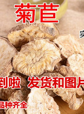 特级纯天然排尿酸搭配栀子菊苣茶