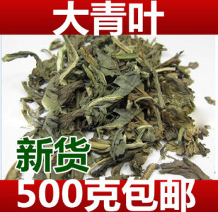 大青叶中药材500g 大青叶茶 可磨大青叶粉精选新鲜正品板蓝根叶子