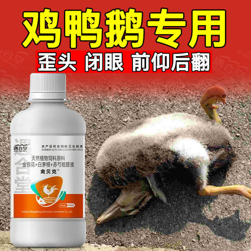 养鸡专用鸭鹅卧底转圈不食