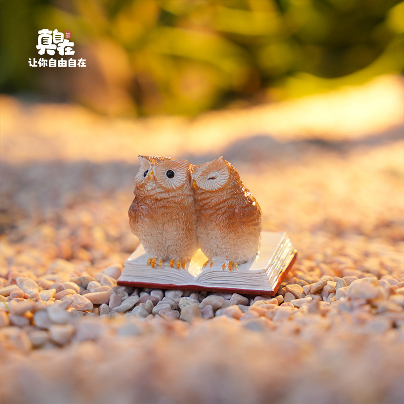 创意可爱猫头鹰树脂摆件仿真动物桌面书架家居真自在阿米蛙装饰品