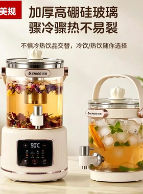 110V美规养生壶多功能煮花器恒温烧水壶电热水壶全自动煎药壶出口