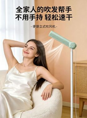 香港台湾110V220V懒人立式吹风机家用落地全自动负离子护发大风力