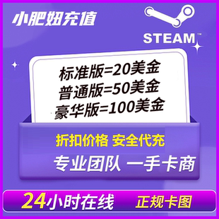 促销 代充Steam 50100美金区代卡图余额pubg春季 充值卡20 游戏美元