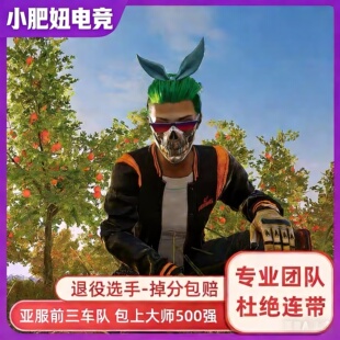 PUBG吃鸡陪玩 陪打代练竞技上分冲大师  steam绝地求生金币充值
