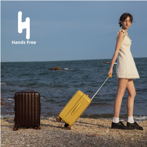 新款—HandsFree可可行李箱女学生耐用轻便旅行箱双层防爆拉链箱