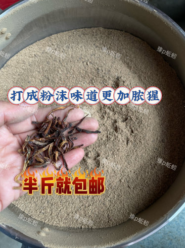 小红蚯蚓干打粉钓鱼饵料野钓鲫鱼鲤鱼草鱼黑坑地龙垂钓