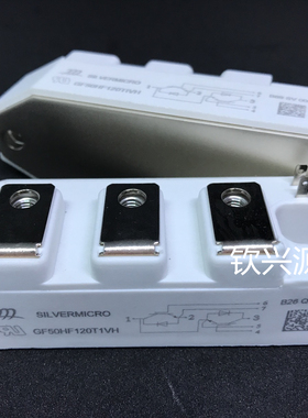 GT75HF120T1VH GT50HF120T1VH-G GT100HF120T1VH-G IGBT SILVERM