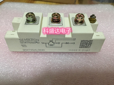 SKM100GAR173D SKM100GAL123D SKM75GD121D质量保证 新旧都有