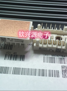 FS6R06VL4-B2 FS6R06VE3-B2 FS20R06VL4-B2 FS20R06VE3-B2请咨询