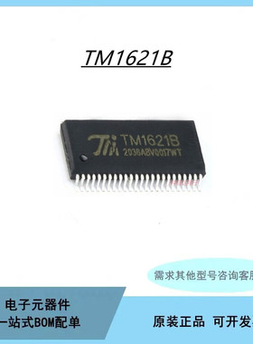 贴片SSOP-48 LCD驱动器 RAM映射 液晶芯片IC TM1621拍前咨询